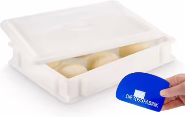 3x Pizza Ball Box with Flavor + 1 Lid, 40x30x7 cm | Proofing Box, Dough Container for Pizza Dough. Dough Box for 6 Pizza Balls, Pizza Dough Container (1x Gusto Box + 1x Lid)