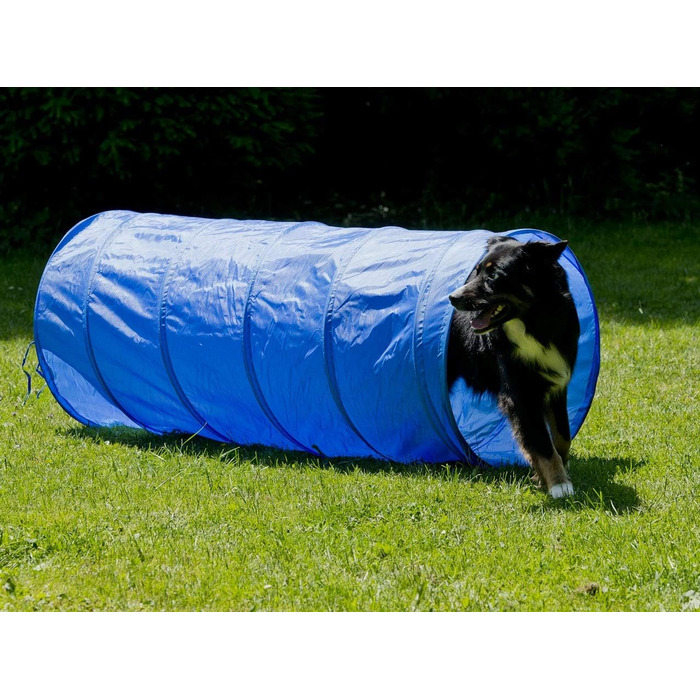 Набір для аджиліті NATIV LEMODO для собак | Тренування собак з бар'єрами та стрибковим кільцем | Легкий у транспортуванні аксесуар для аджиліті | Початковий набір у собачий спорт (з тунелем)