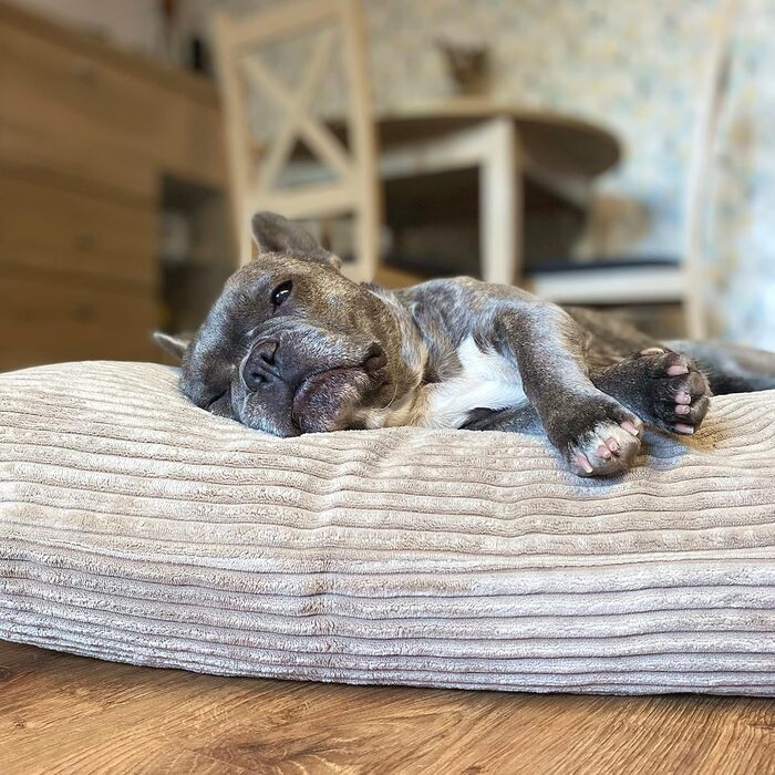 4L Textil ZOE - М'яке собаче ліжко з тканини Corduroy, 60x50 см, бежеве (смужки)