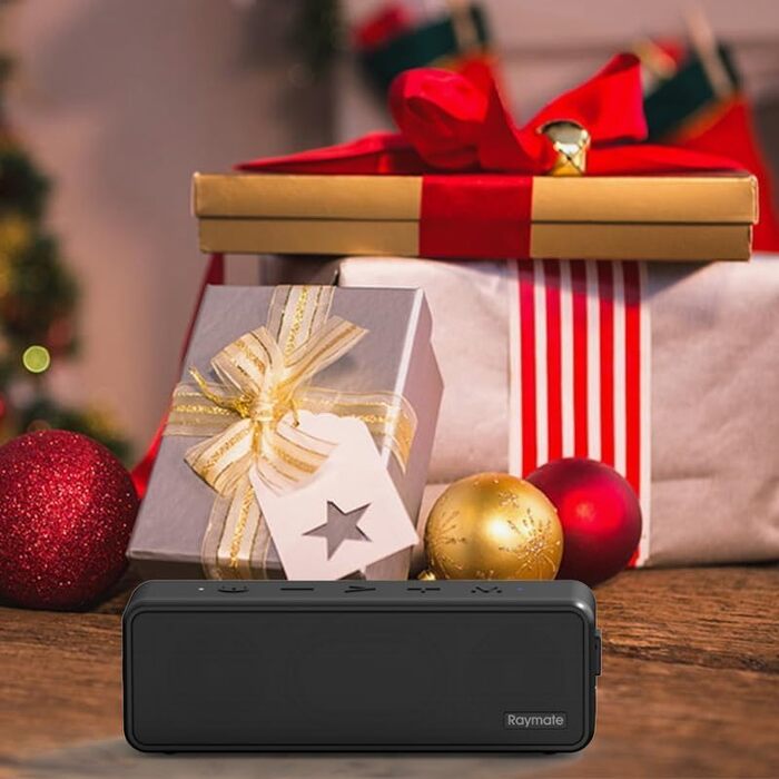 Портативна Bluetooth колонка Raymate з подвійним басом 20W, IPX7, TWS, 15 годин роботи, чорна