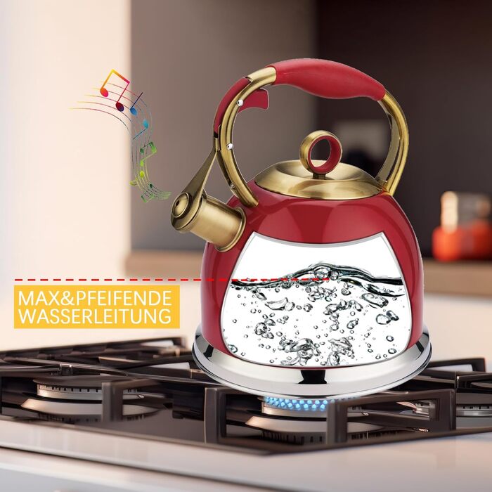 Чайник-свисток 3л з нержавіючої сталі, з термостійкою ручкою, для індукційних плит (червоний)