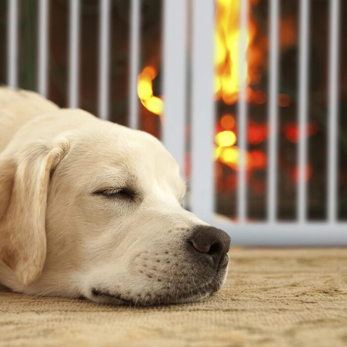 Захисне ворота Relaxdays для собак та котів, біле, 70 x 205,5 см, розкладне