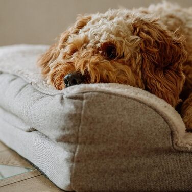 Ортопедичний кутовий диван Nobby 61725 CALBU бежевий; 80 x 52 x 18 см