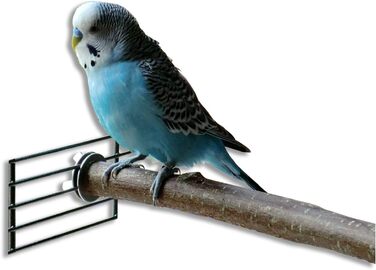 6-Piece Shredder and Nibbling Set for Birds | Basic Equipment for Bird Owners | Budgie Toy | Cockatiel Toy