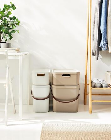 Rotho Albula Storage Box 40l with Lid, Plastic (Recycled PP), Green, 40l (40.0 x 40.0 x 34.0 cm) (White)