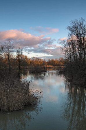 Фільтр Dörr Digiline Градієнт сірого, 2 ступені затемнення, ND 0.6X, з міцного Resin, безбарвний, з різьбою для передньої частини (58 мм)