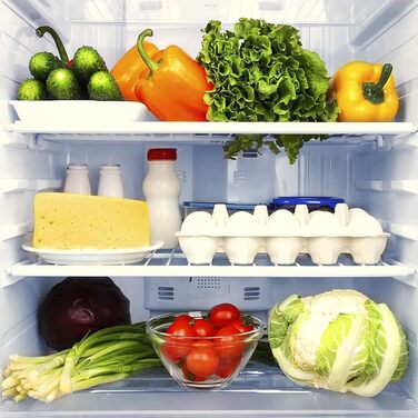 Universal Refrigerator Freezer Shelf Rack (white, 3 pack)