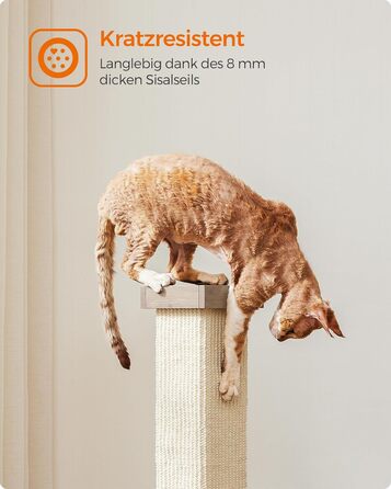 Feandrea Scratching Post, Scratching Trunk, Cat Tree, 10 cm Thick Trunk, Scratching Column Made of Natural Sisal Rope, 73 cm High, with Plush Play Ball, Furniture Scratch Protector, Greige PCA021G01
