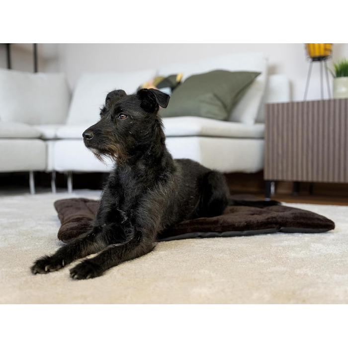 Підстилка для собак та котів Harmony Flex 90x65 см з водонепроникним дном
