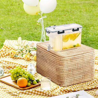 YGHQAP Plastic Drink Dispenser, 3.5L Drink Cooler with Spigot, Iced Juice, Lemonade Dispenser, Perfect for Refrigerator, Fruit Tea Pot
