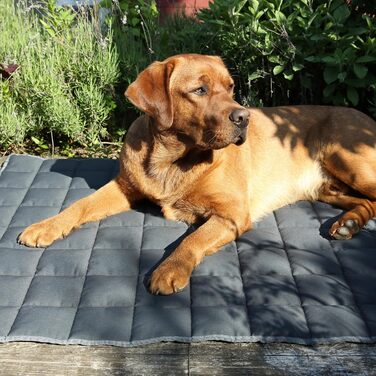 Килимок для собак Your Gear Lana 160x100 см - м'яка підстилка для великих собак, бавовна Oeko-Tex, міцний, водонепроникний, для дому та вулиці, альтернатива собачому ліжку