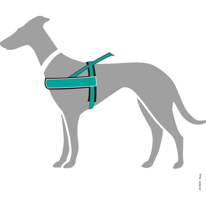 Шлейка для собак HUNTER RACING, чорна, м'яка, світловідбиваюча, регульована, розмір M-L