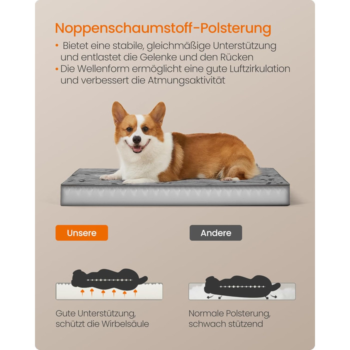 Крізь для собак Feandrea, м'яке ліжко для собак, знімний килимок, водонепроникне, 76 x 51 x 8 см, розмір M, для маленьких та мініатюрних собак, Taubengrau PGW241G01 (L (91 x 63 x 8 см))