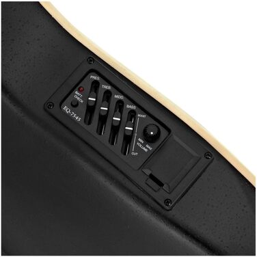 Акустична гітара Gear4music Roundback з аксесуарами