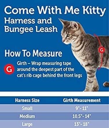 PetSafe Come with Me Kitty Harness and Bungee Leash, Harness for Cats, Size M, Red/Cranberry, Model: CWMK-M-RED (Light Pink/Burgundy, Large (Pack of 1))