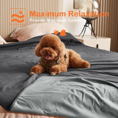 Водонепроникний плед для собак та котів, миючий, для подорожей, захисний, м'який, 125 x 75 см (259 x 244 см), сірий (без Sherpa)