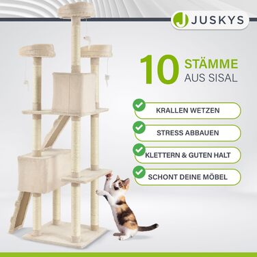 Дерево для котів Juskys Amy XXL - з печерами, лежанками, сходами та сизалевими стовпчиками. Стабільний котячий комплекс 170 см, сірий (бежевий)