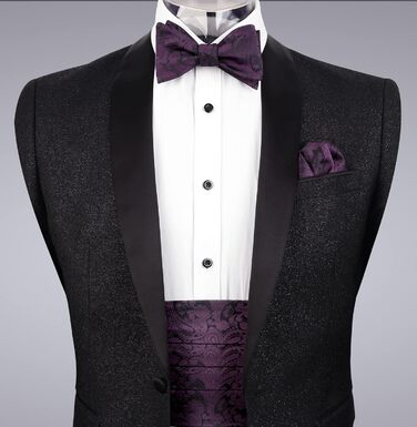 Комплект краватка-хустинка Alizeal Paisley (Aubergine) для чоловіків