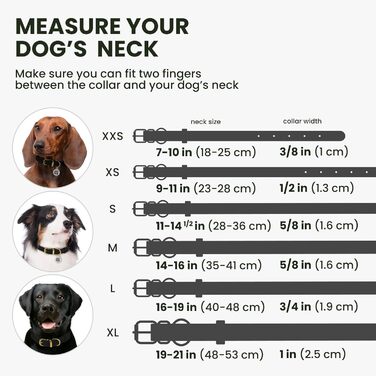 Нашийник для собак BRONZEDOG з м'якої шкіри з QR-ID тегом, регульований, для малих, середніх та великих собак, цуценят, котів (Чорна Ніч, 18-25 см)