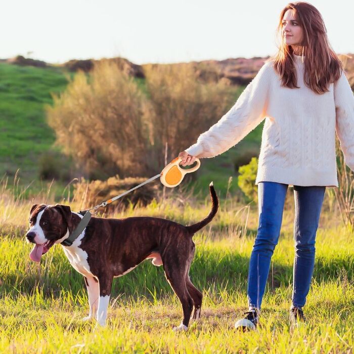 Висувна поводок для собак, 4.8м, міцний рулон з поворотним гачком на 360° та LED-підсвіткою, для собак та котів середніх та малих порід (до 30 кг), колір зелений