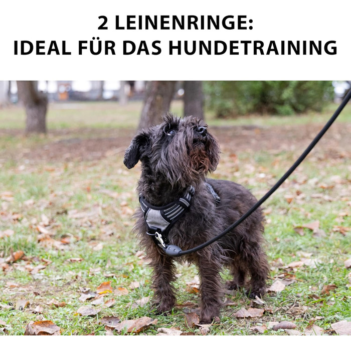 Шлейка для собак Ferplast середнього розміру, 2 гачки для контролю, шлейка від тяги, регульована, світловідбиваюча та дихаюча, ідеальна для тренувань, M, Бежево-коричнева