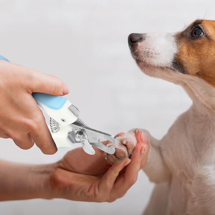 Електричний точило для собачих кігтів Aomig Krallenschleifer 6 шт. з LED-дисплеєм та 2 швидкостями. Підходить для собак та котів. Чорний та білий (A) / Синій та білий (B).