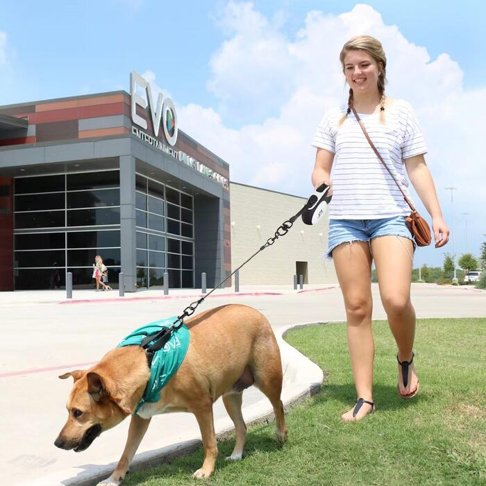 Висувна поводок для собак, 5 м, з ланцюгом, для 2 собак, витягуваний поводок для середніх та великих собак до 50 кг, білий та чорний