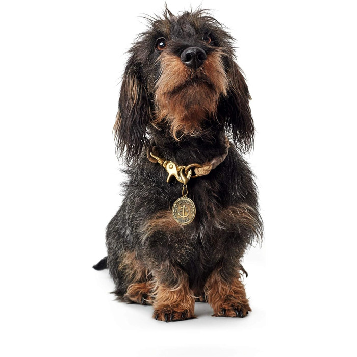 Нашийник для собак HUNTER List, бежевий, S-M, міцний, водостійкий, гнучкий