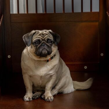 Клітка для собак PawHut, переноска для тварин, собача будка для середніх собак, переноска для собак в приміщенні, клітка для тварин з замком, коричнева, 80,5 x 59,5 x 67,5 см