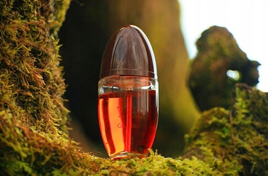 Парфумована вода Calvin Klein Obsession для жінок, 100 мл