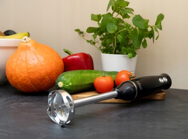 Ручний блендер IDEAL IK1002, 500 Вт, чорний