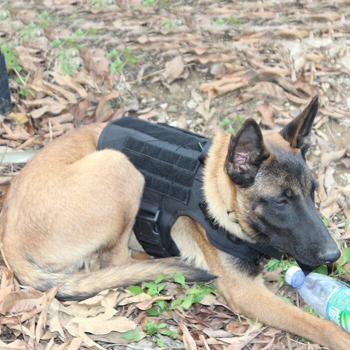 FEimaX Tactical Dog Harness with Handle Military Net Working Tactical Dog Vest Chest Harness for Large Dogs No Pull Adjustable Vest for Walks Training (Black, M)