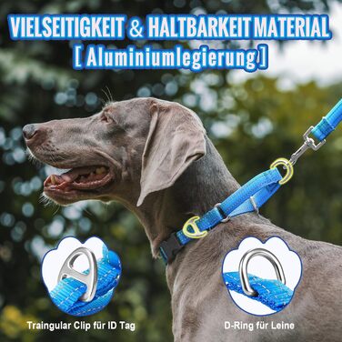 Нашийник для собак Martingale, світловідбиваючий, з зупиняючою функцією, для великих, середніх та маленьких собак, нейлон, блакитний, розмір L