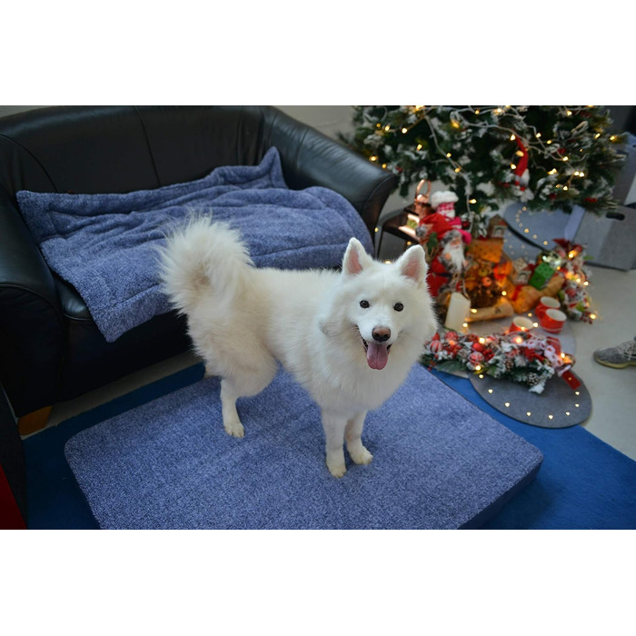 М'яка ковдра для собак та котів Raikou з плюшевою подушкою, 80x60 см, блакитний мікс (миється, не ковзає)