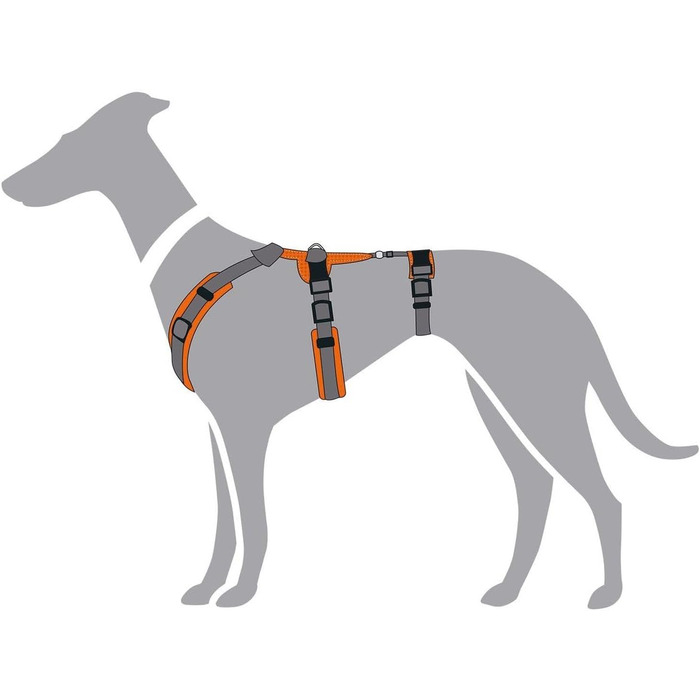 Нашийник для собак Maldon, розмір S-M, оранжево-сірий